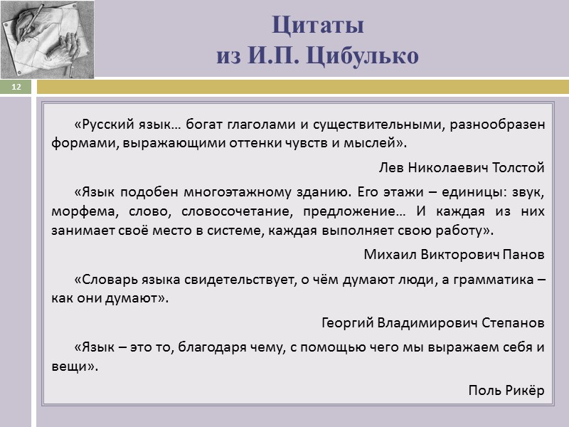 Цитаты   из И.П. Цибулько «Русский язык… богат глаголами и существительными, разнообразен формами,